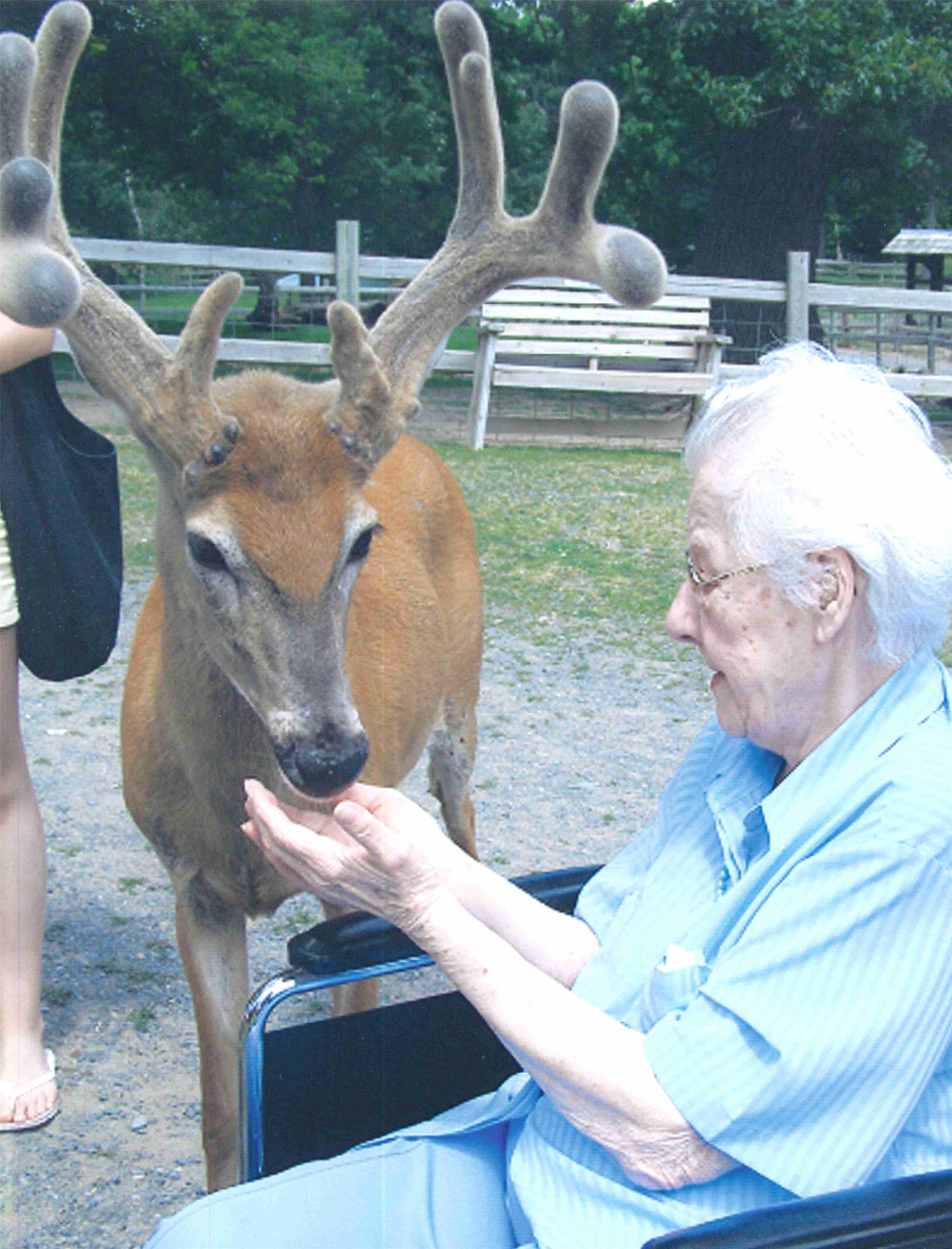 Lois Spreigl obit photo